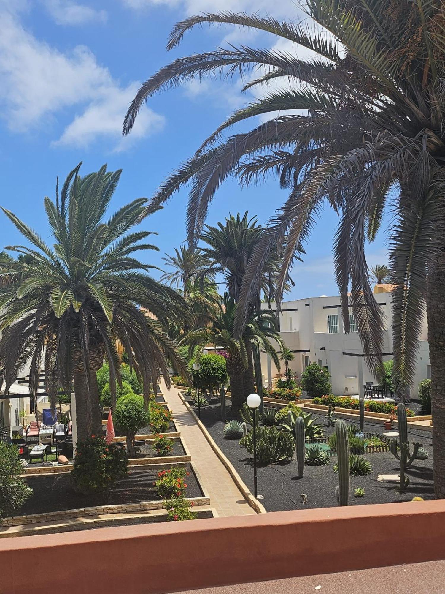 New Alisios Playa Apartment Corralejo Exterior photo
