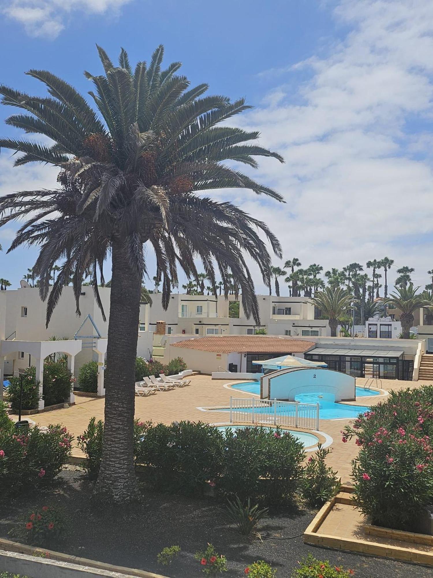 New Alisios Playa Apartment Corralejo Exterior photo